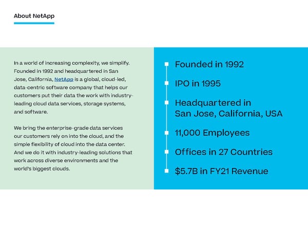 ESG Report | NetApp - Page 5