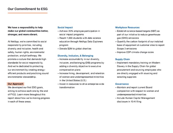 ESG Report | NetApp - Page 8